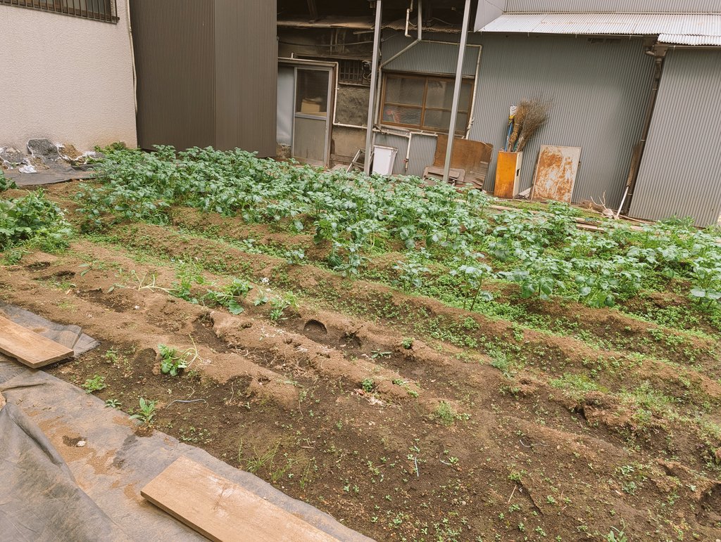 峰 不二夫 tweet media