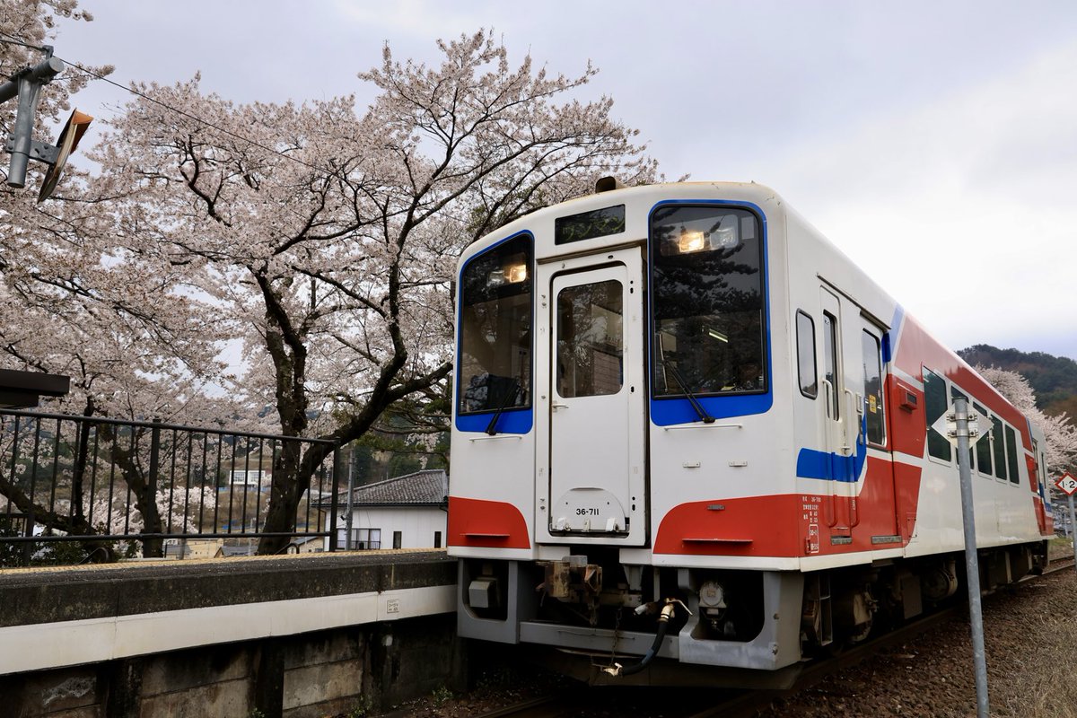 リアス潮風 tweet media