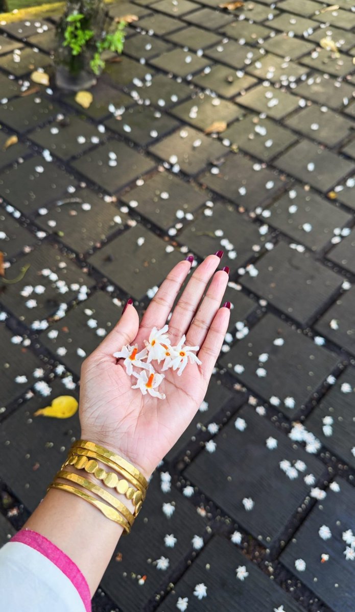 TheLooveMaker's tweet photo. Being Aesthetic is never a big task. She can do it effortlessly 😌✨️💓

#MalavikaMohanan https://t.co/I5hKLBvBCW