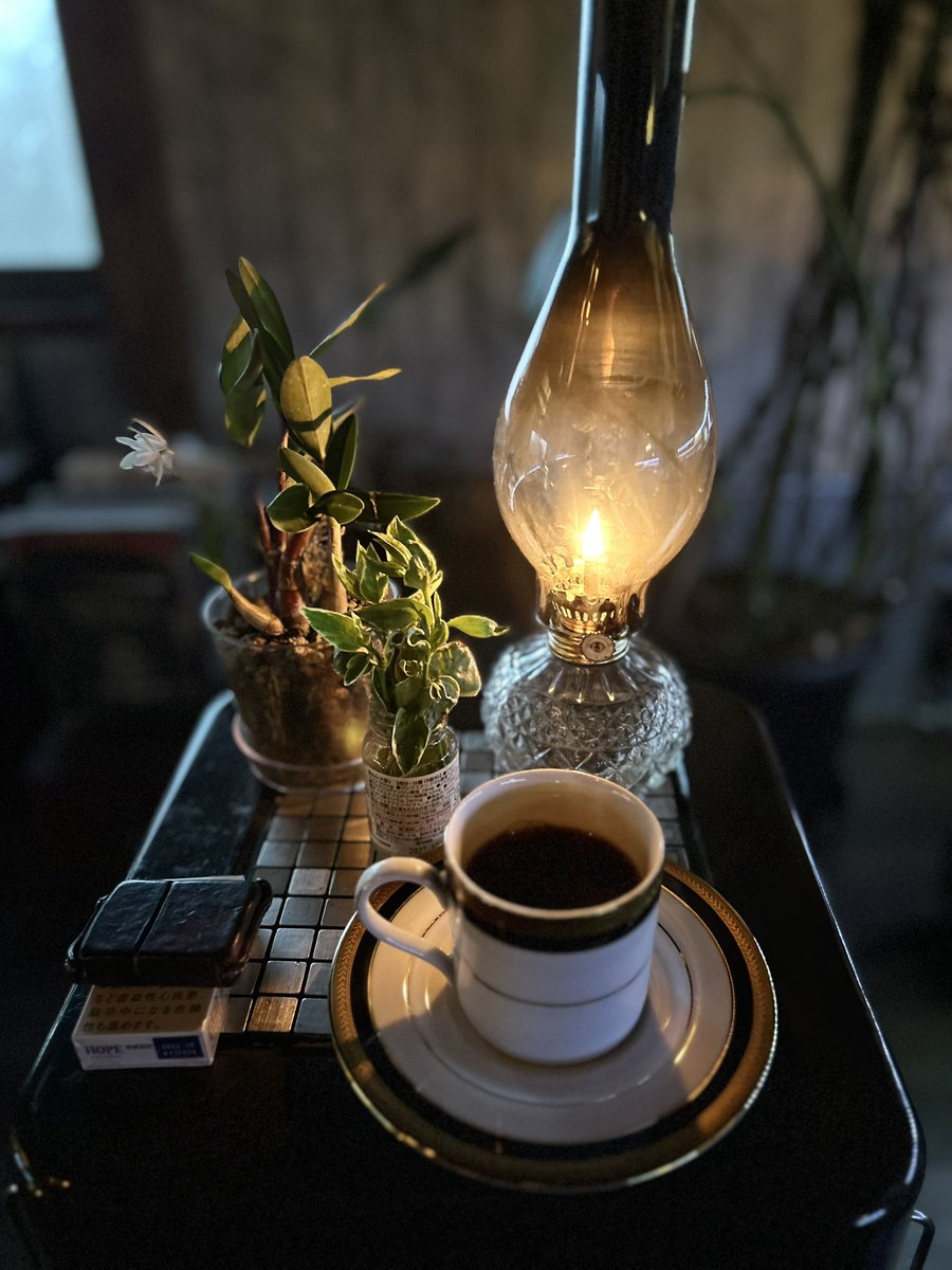 youichi3922's tweet image. 今朝の一杯は『でーじまーさんブレンド/中煎り:ウミネコ商店』

#コーヒー #コーヒー好きと繋がりたい #coffee #coffeetine #ウミネコ商店