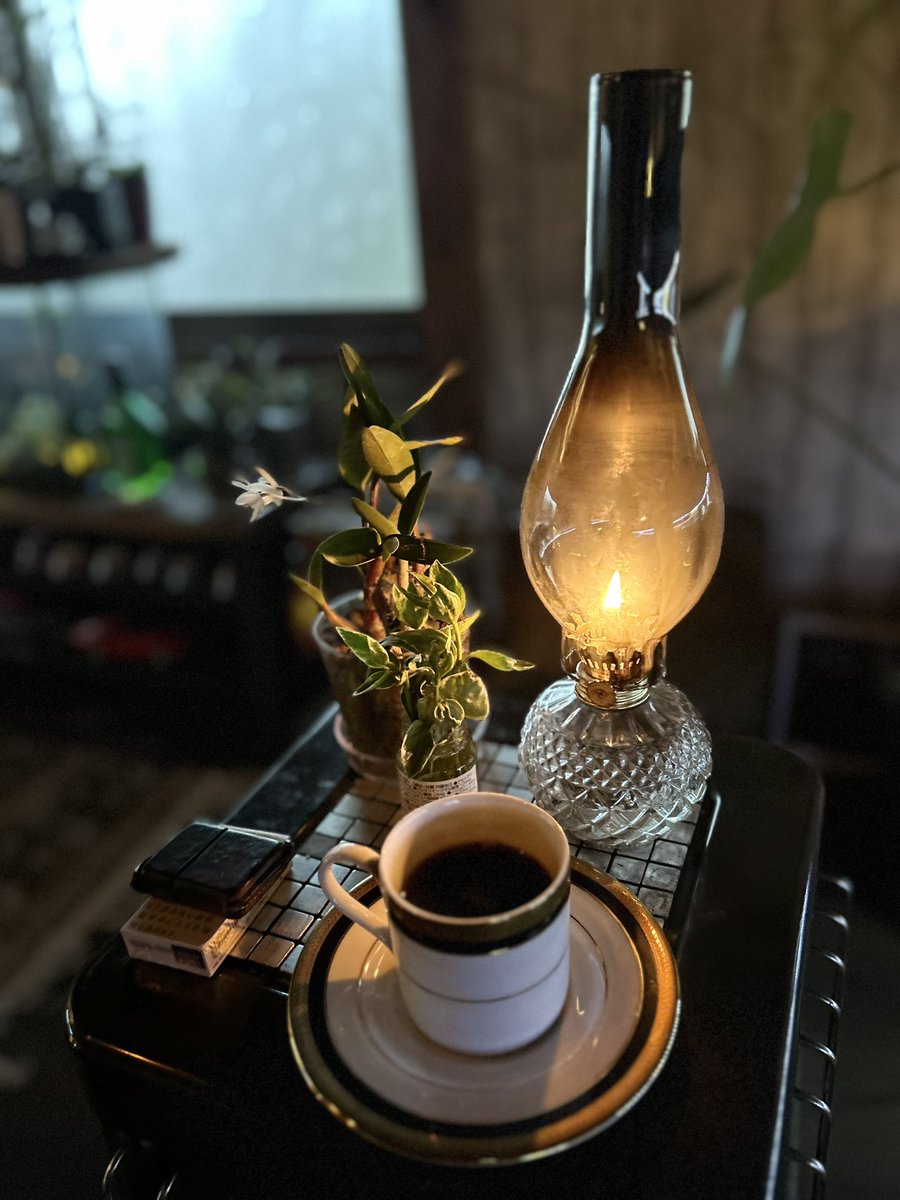 youichi3922's tweet image. 今朝の一杯は『でーじまーさんブレンド/中煎り:ウミネコ商店』

#コーヒー #コーヒー好きと繋がりたい #coffee #coffeetine #ウミネコ商店