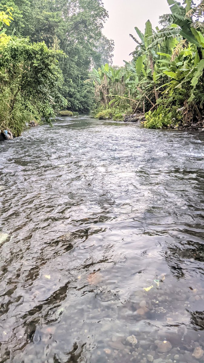 surya ndharu tweet media