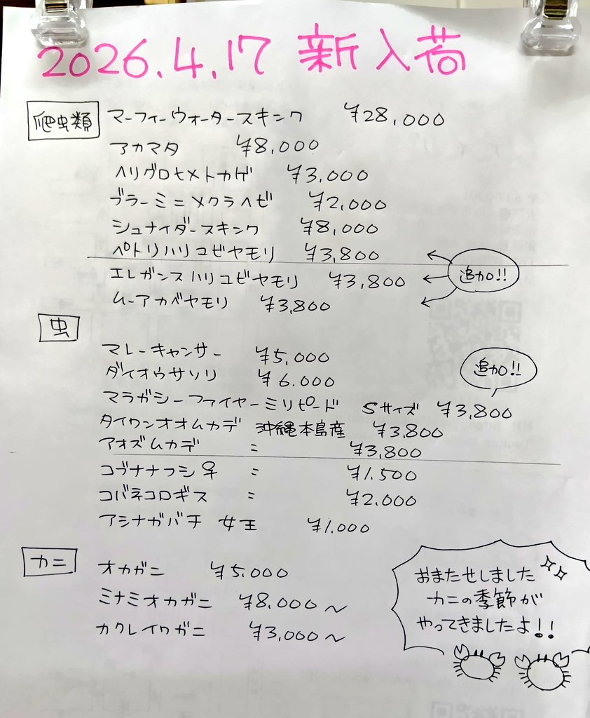 爬虫類ショップdear(ディア) tweet media