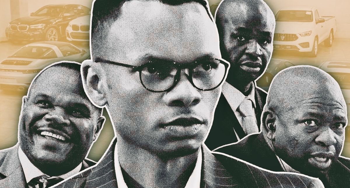 Sunflower tweet media