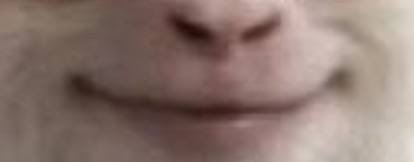 aryan monkey tweet media