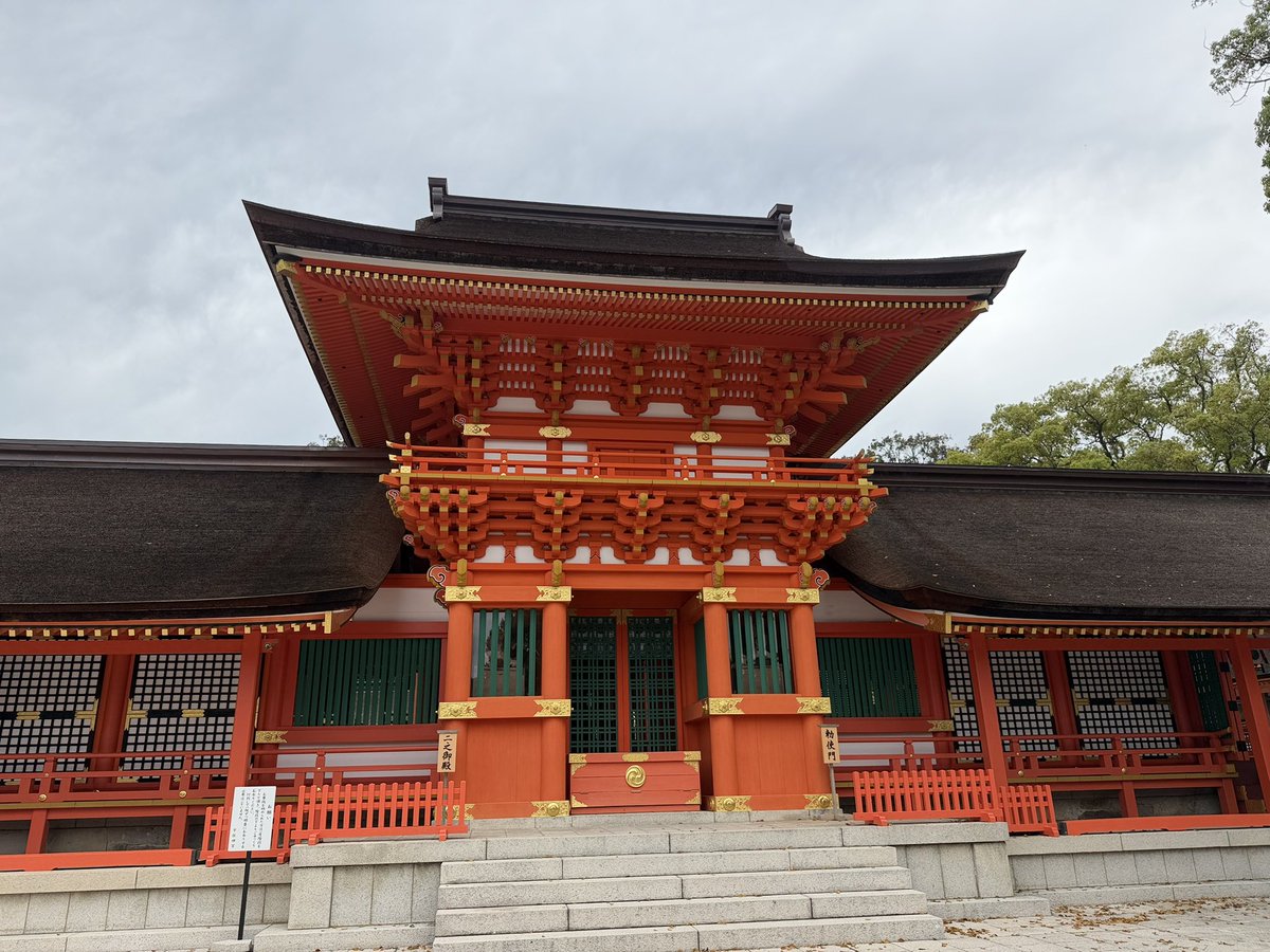 珠澄ぁこ🌱 tweet media