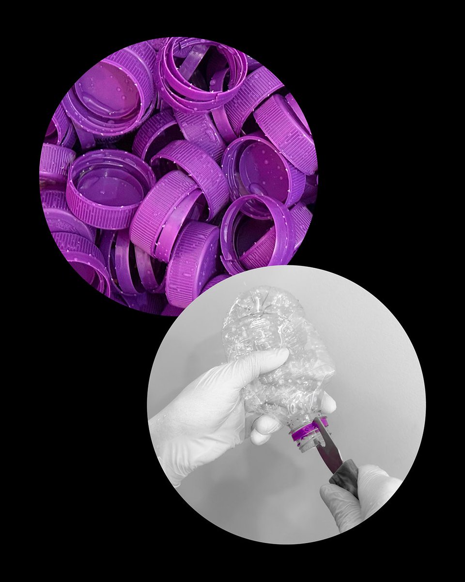 브로콜리너마저 tweet media