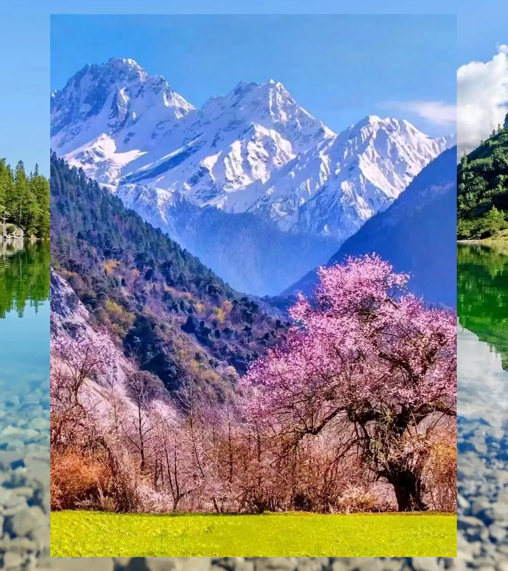 Jessica Brooks tweet media