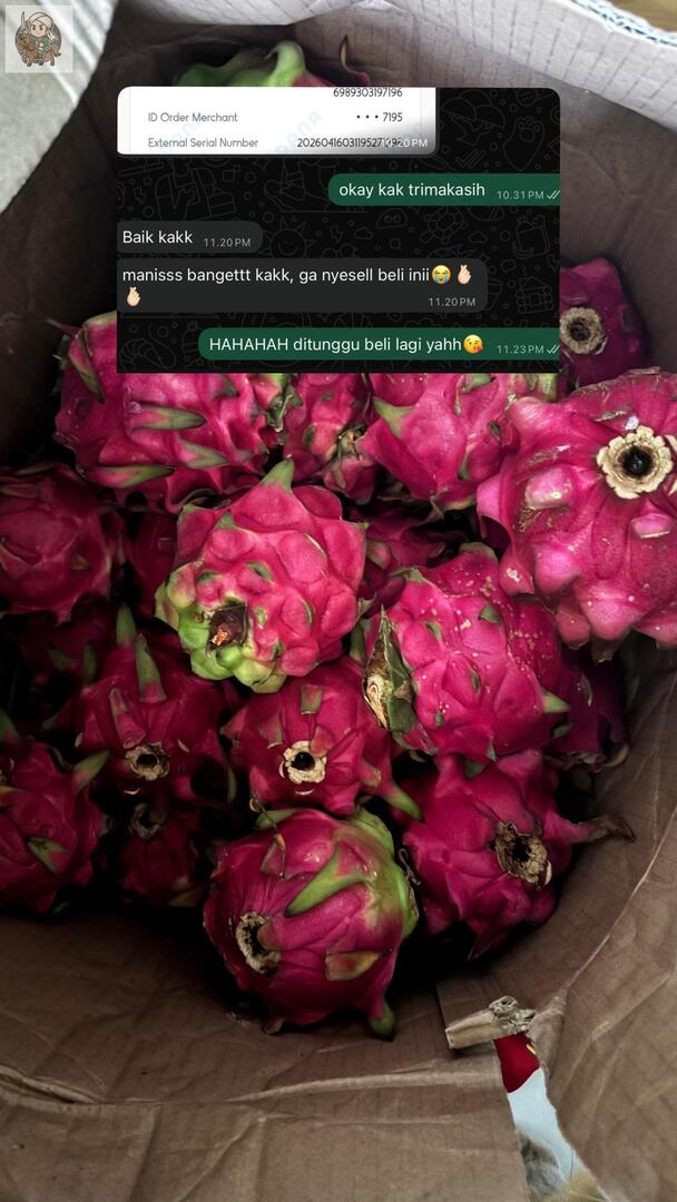 UNDIP MENFESS tweet media