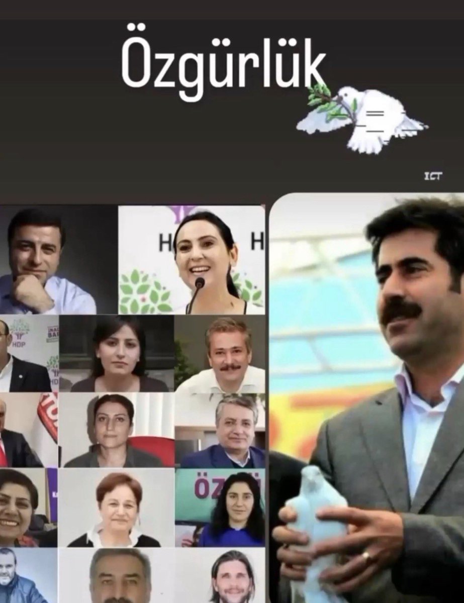 Aslı Kaya tweet media