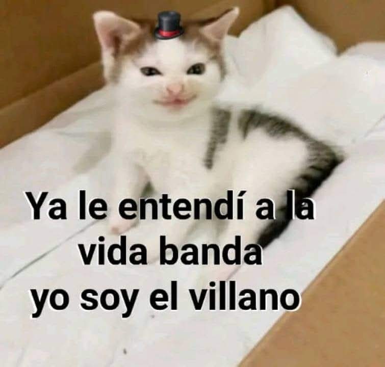 Animalitos en aprietos. tweet media