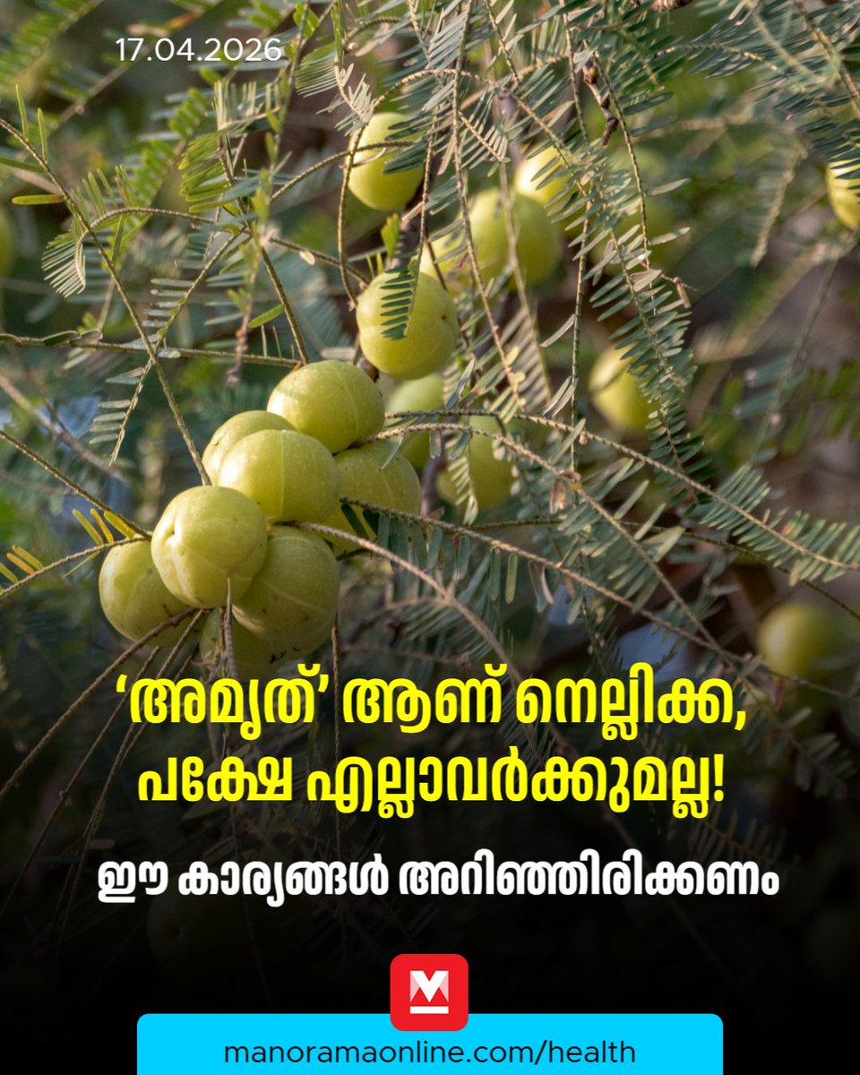 manoramaonline's tweet photo. നെല്ലിക്കയിലെ പോളിഫെനോളുകൾ ഇൻസുലിൻ സെൻസിറ്റിവിറ്റി വർധിപ്പിക്കുകയും പഞ്ചസാരയുടെ അളവ് വീണ്ടും കുറയ്ക്കുകയും ചെയ്യുന്നു.
#Amla #Healthdrink #Manoramaonlinehealth

Read: https://t.co/P7MOplt7LR https://t.co/ueVNChGBLH