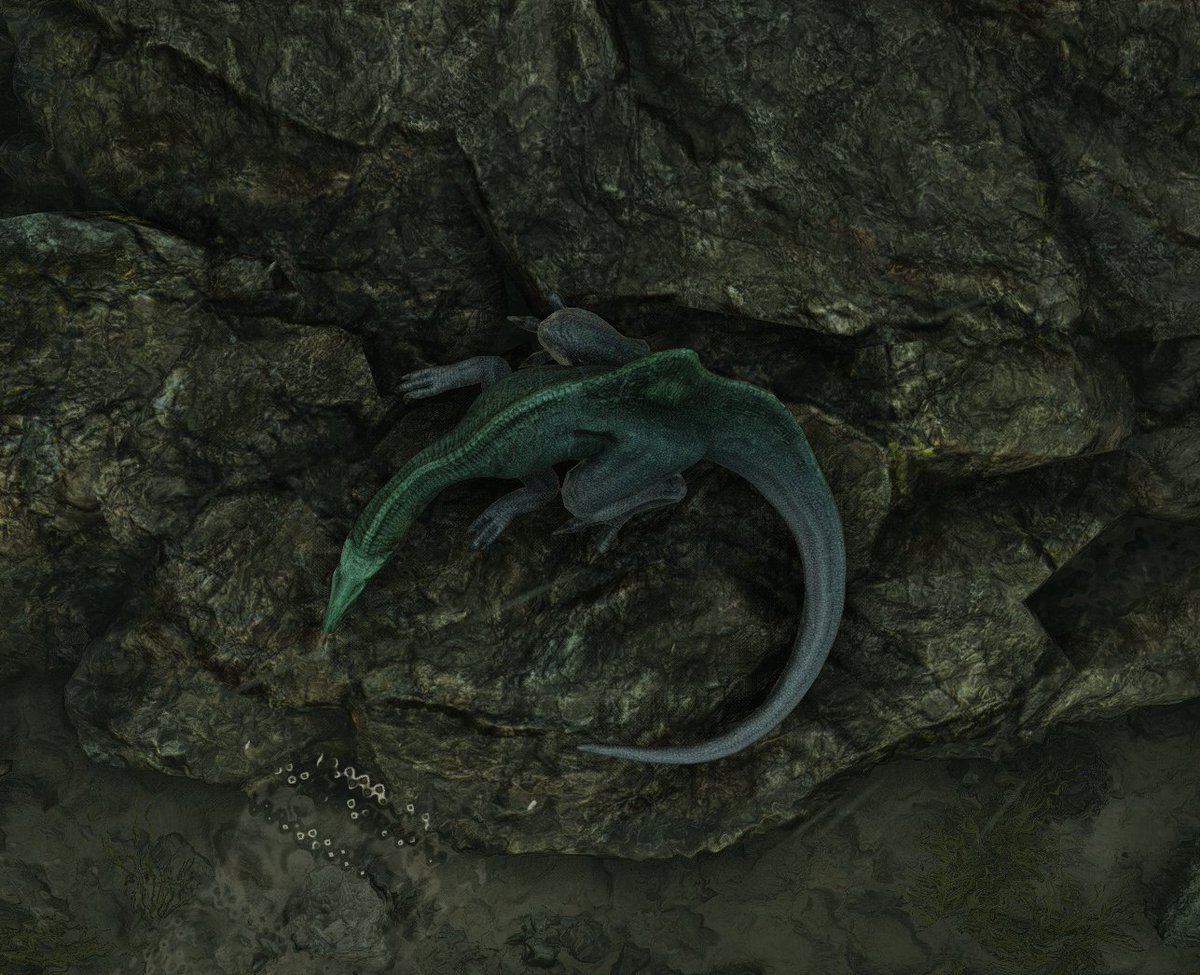 aphesium tweet media