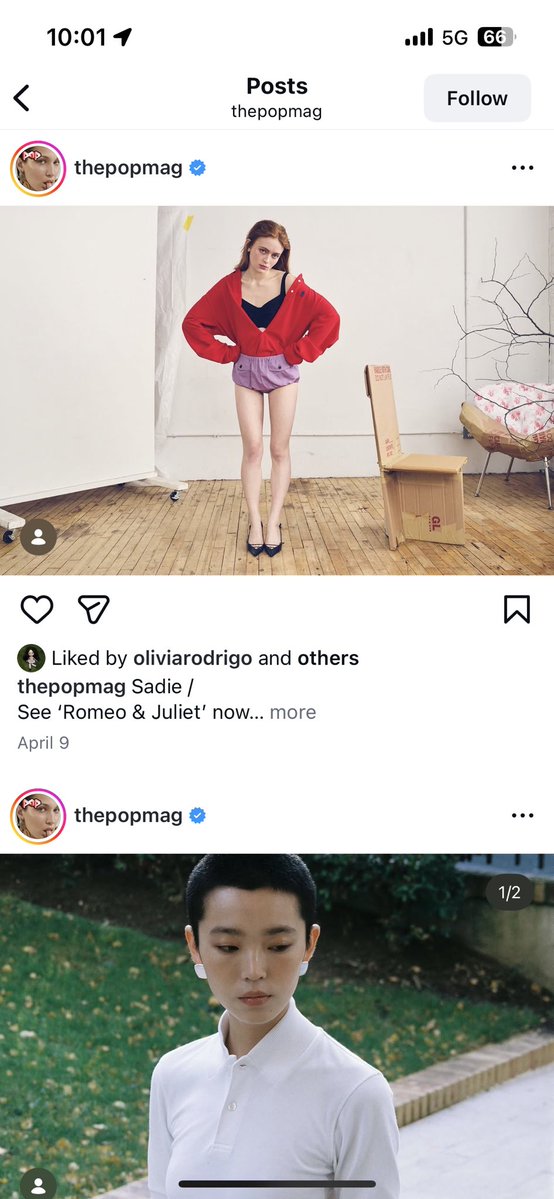 gaylivia rodrigo bot 💋 tweet media