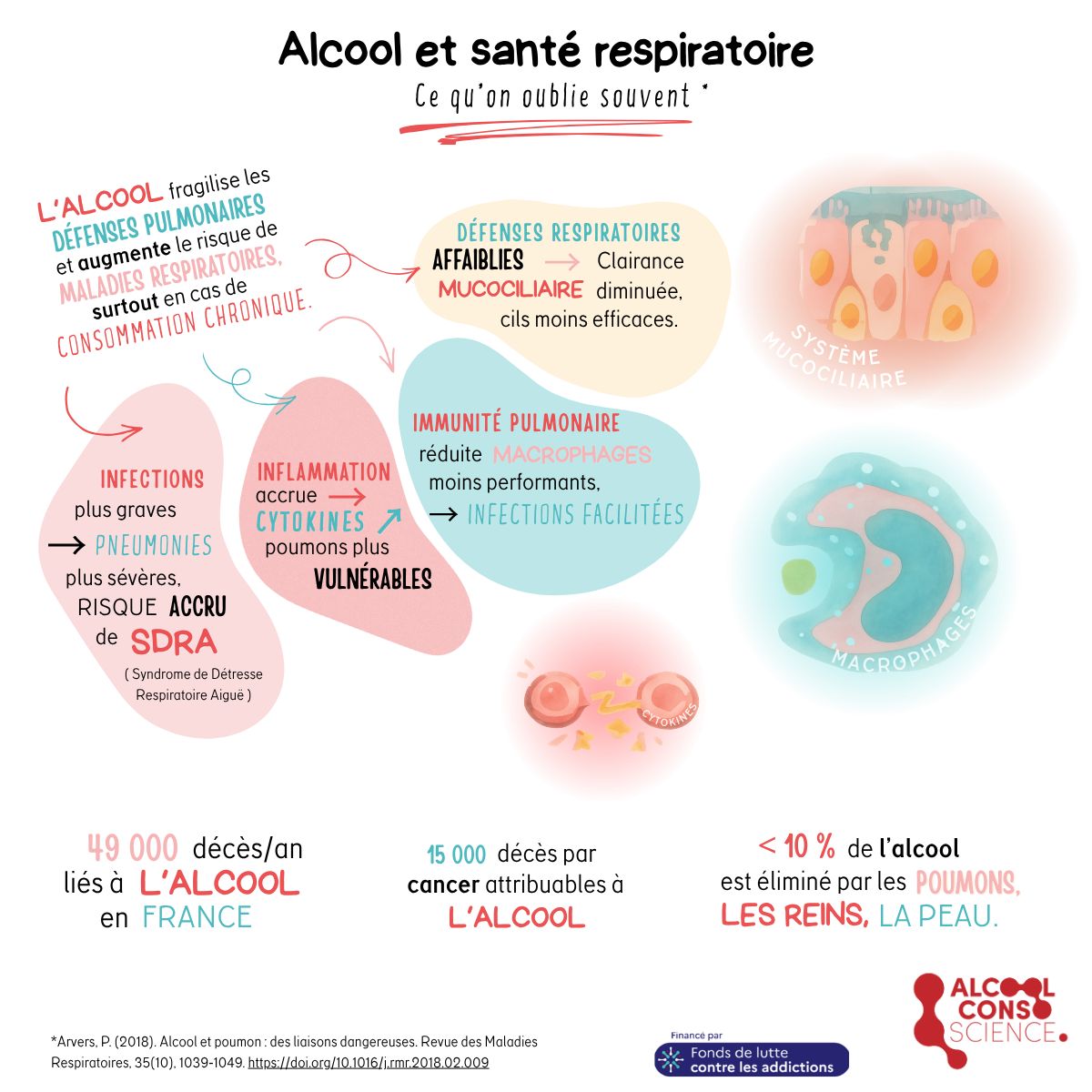 ATHSBiarritz's tweet image. 🫁  Les méfaits de l’Alcool sur les Poumons : un risque encore trop méconnu

LE SAVIEZ-VOUS ? 
L’alcool fragilise les poumons, augmente le risque d’infections et pourrait contribuer à certains cancers.