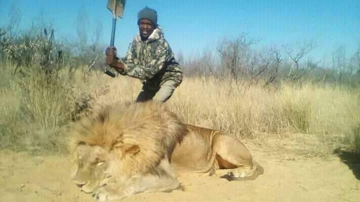 Chafa🇲🇼 tweet media