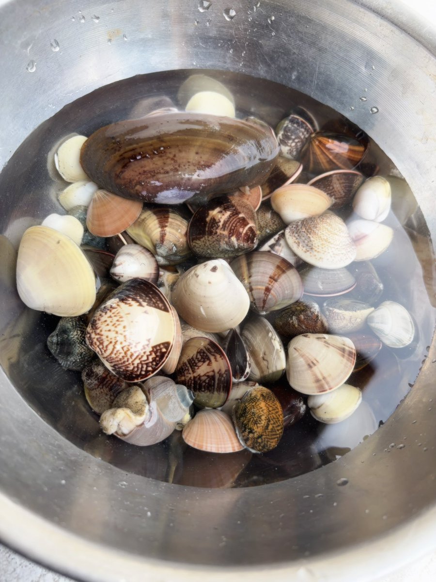 もころん☁️ tweet media