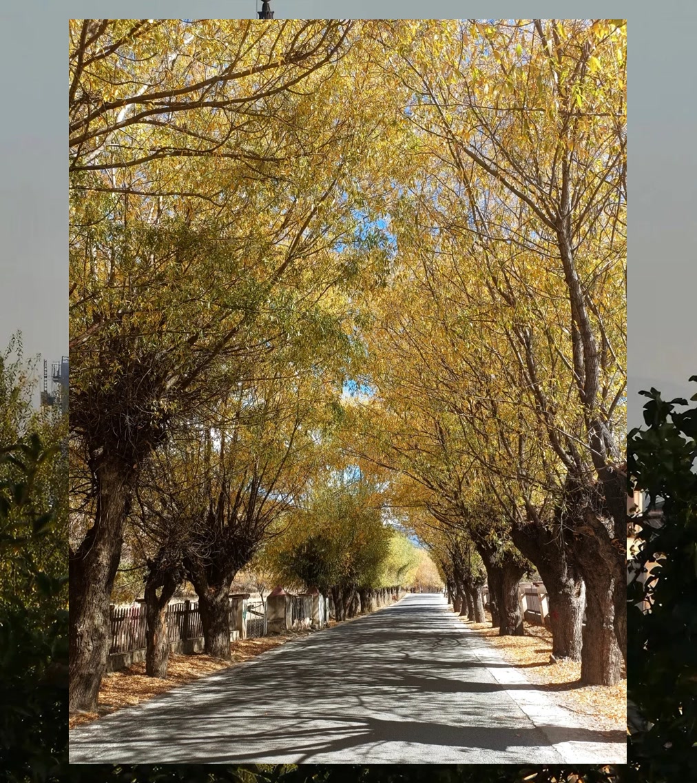 Jonathan Rodriguez tweet media