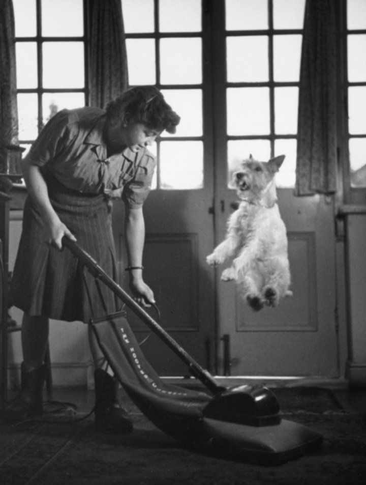 Lucilla Giannotti🧜 tweet media