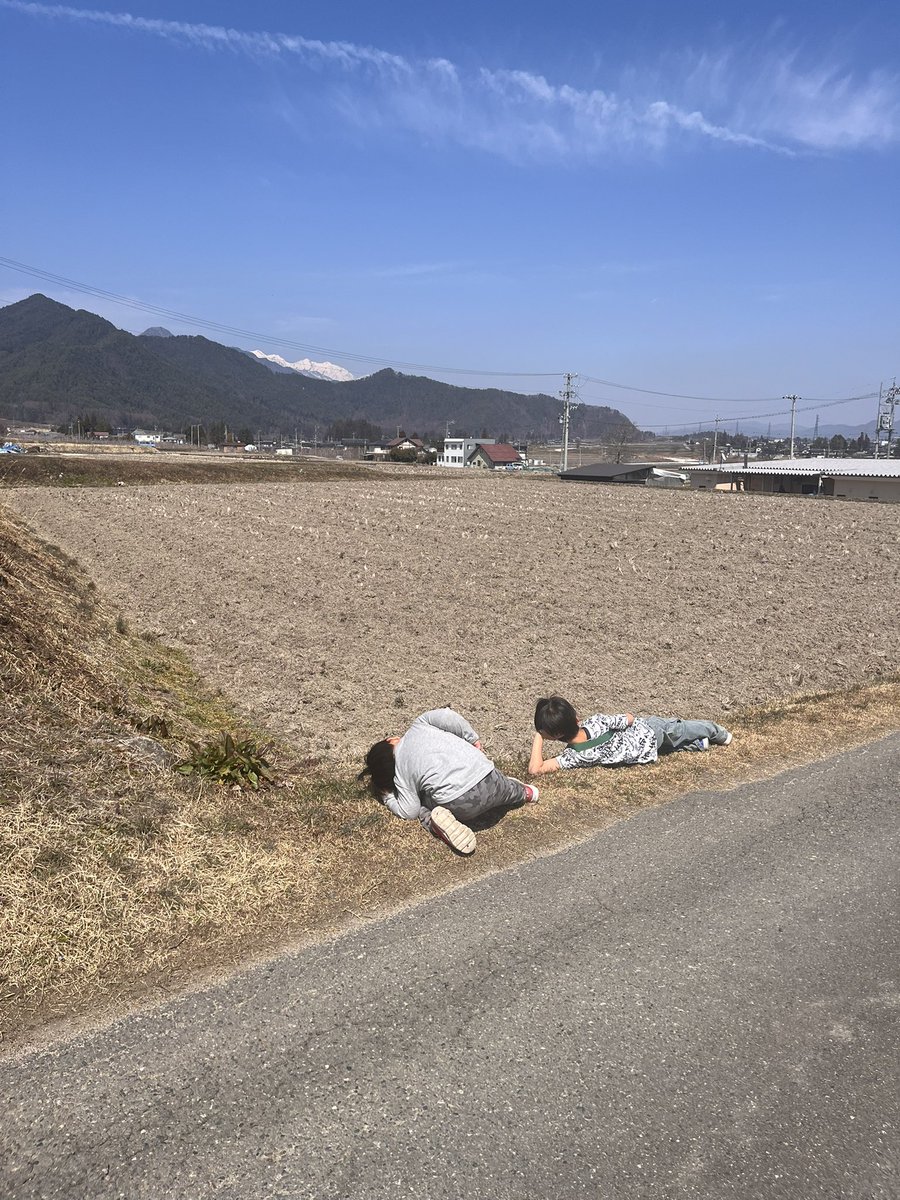 morinone_web's tweet photo. 伸び伸びと生きてる

草って、地面って、
触れ合うと力を貰えるよね https://t.co/gThVgGVqPm