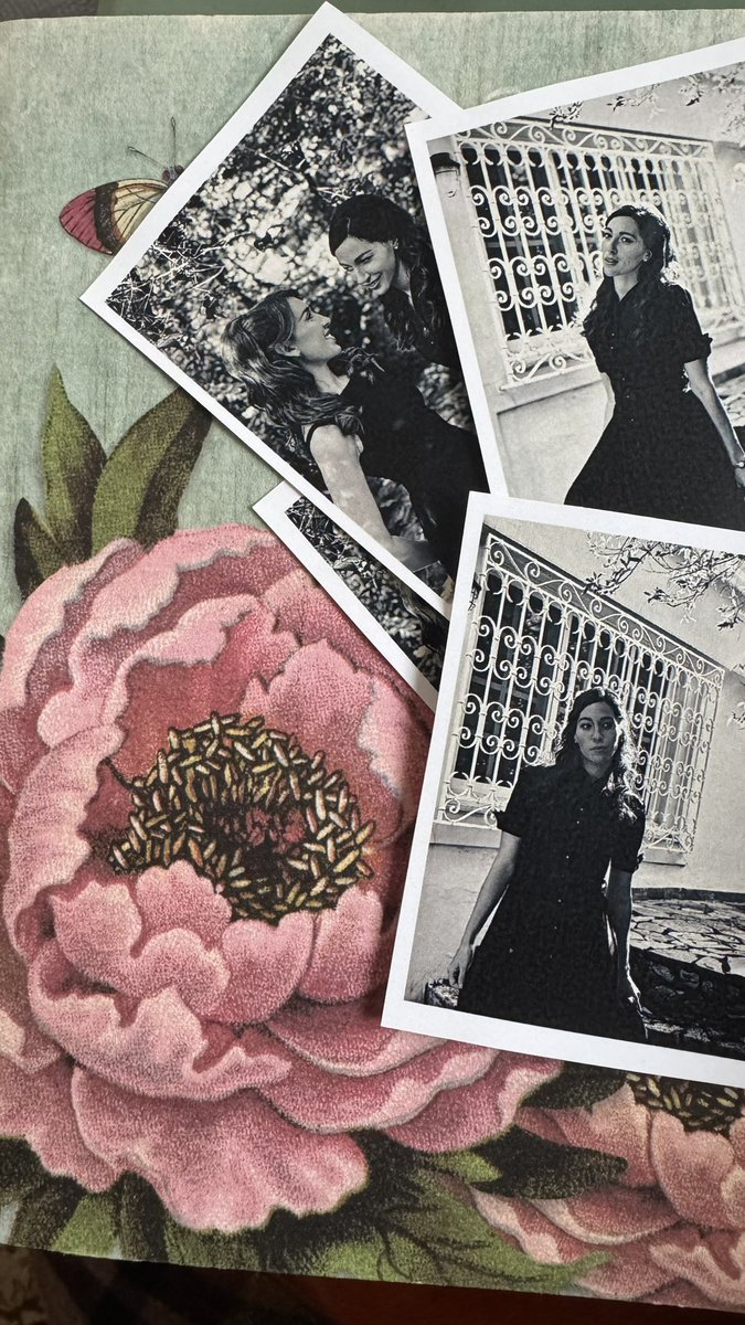 Αντιγόνη tweet media