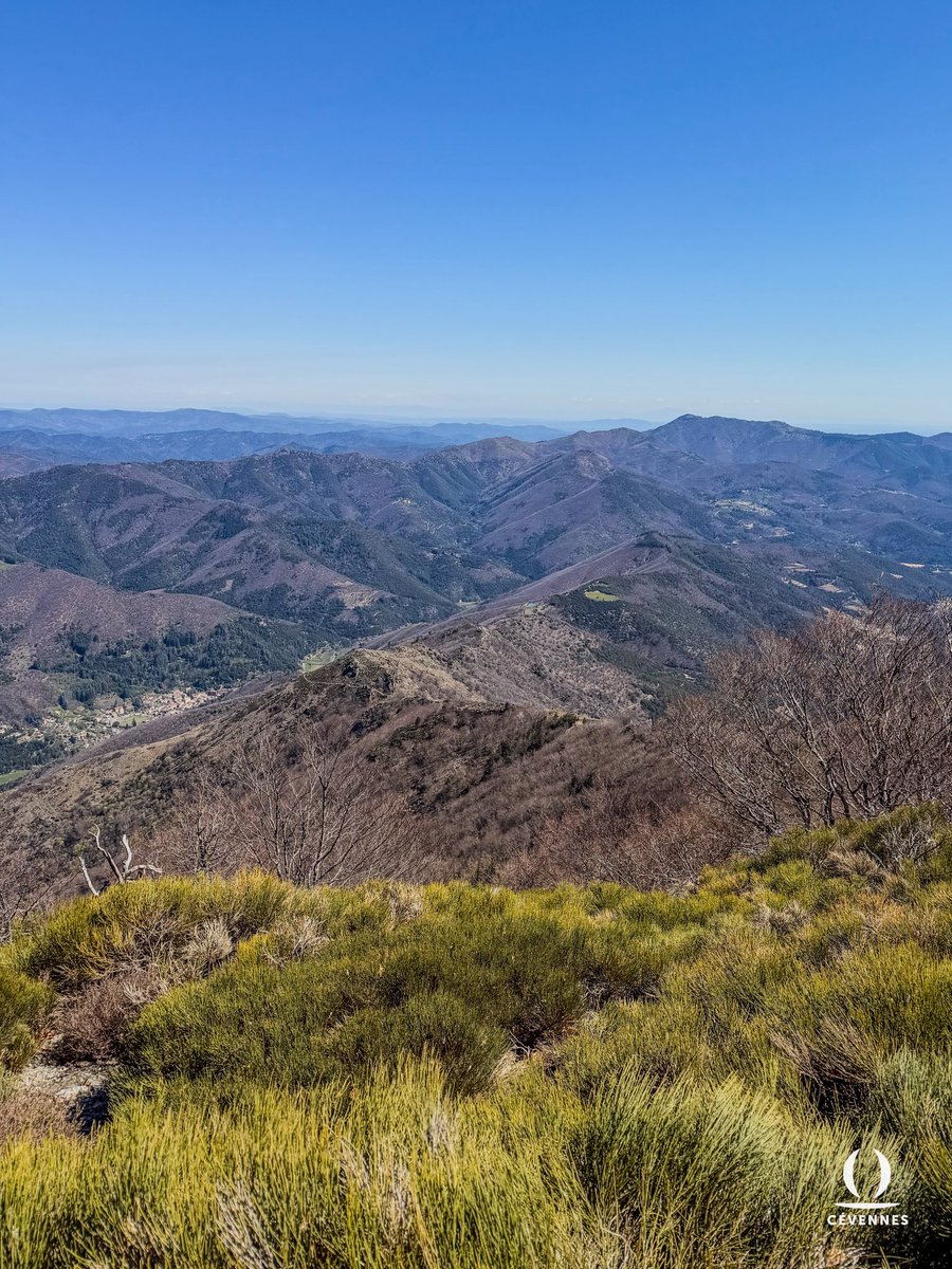 « Aux mois fleuris, Avril, tu prépares la terre,
Et ta venue est douce au cœur du solitaire.
Tu prolonges les soirs de rêves, et tu mets
Des étoiles là-haut plus qu’il n’en fut jamais. »
⛰️🌳🌱
📖 Albert Lozeau
📷 Samuel Chatard
🗺️ Val d’Aigoual
#Cevennes #Oraterra