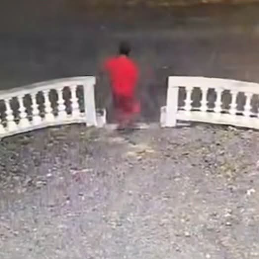 DeusXMachina tweet media