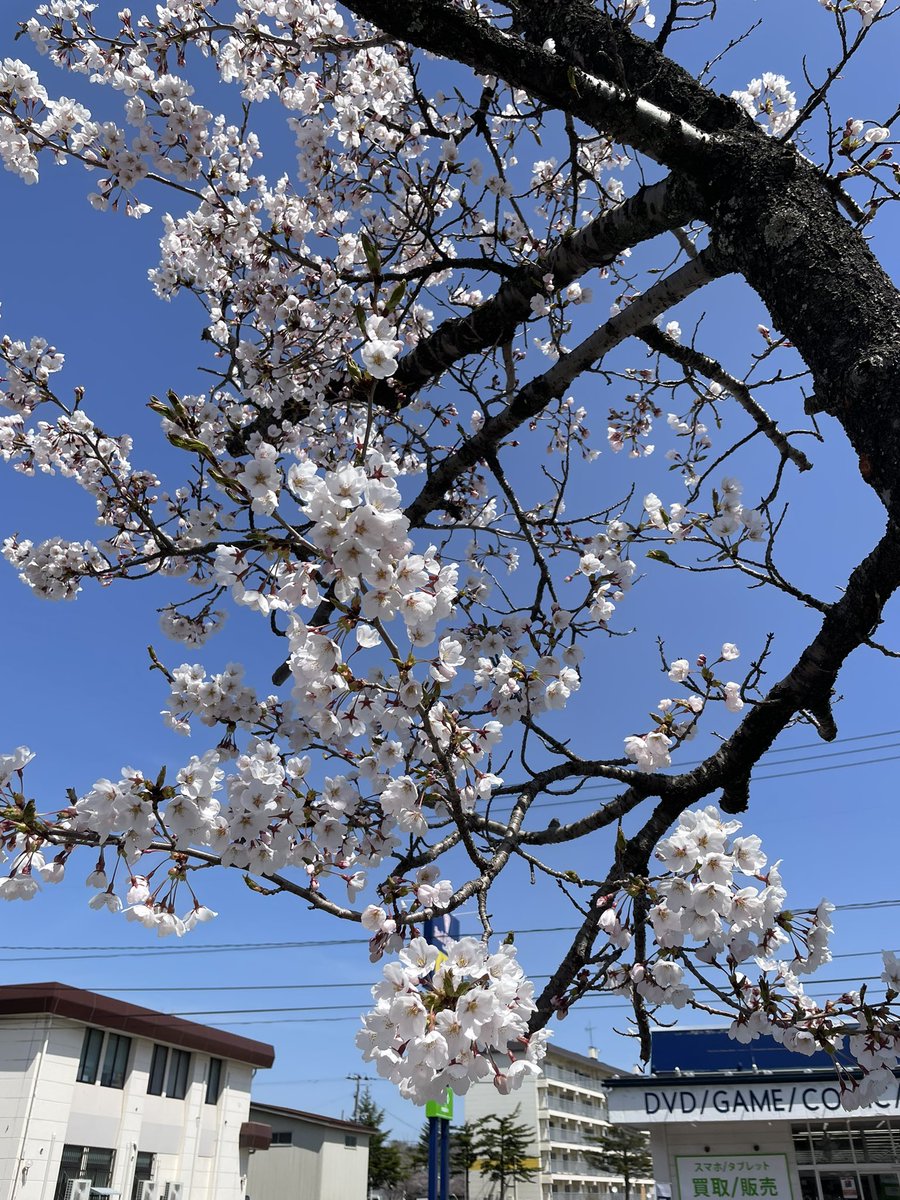 麺 晴天 tweet media