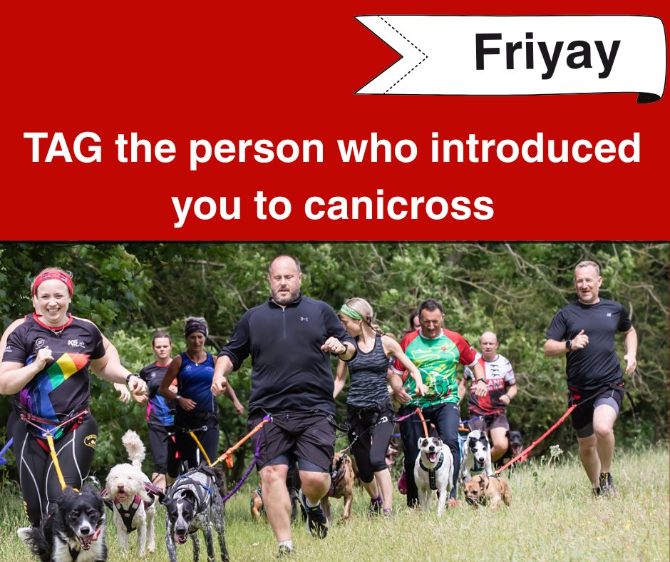 It’s Friyay 🎉

With the canicross season coming to an end - Tag the person that first got you hooked on the sport

Let's thank them for getting us addicted to this fabulous sport

#k9trailtime #activedogsarehappydogs #weekenddogs
#canicross #funonfriday #canicrossdogs