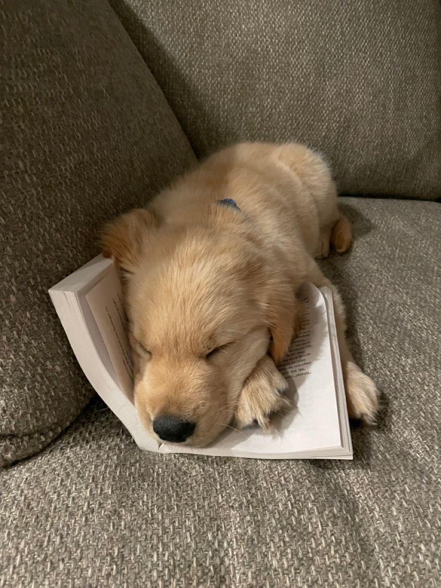 shauna ☀︎ tweet media