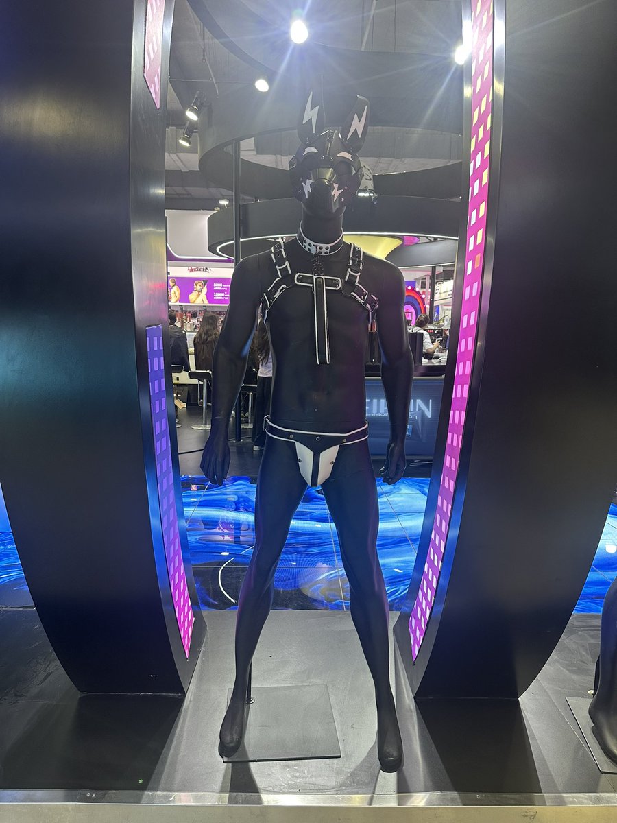 上海经验绿竹 tweet media