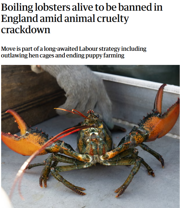 Basil the Great tweet media