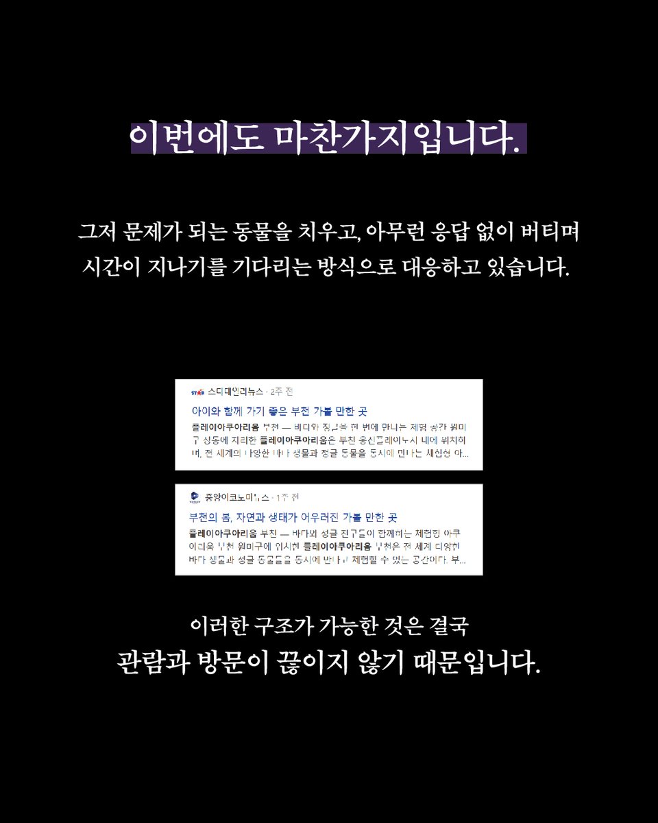 한국고양이보호협회 tweet media