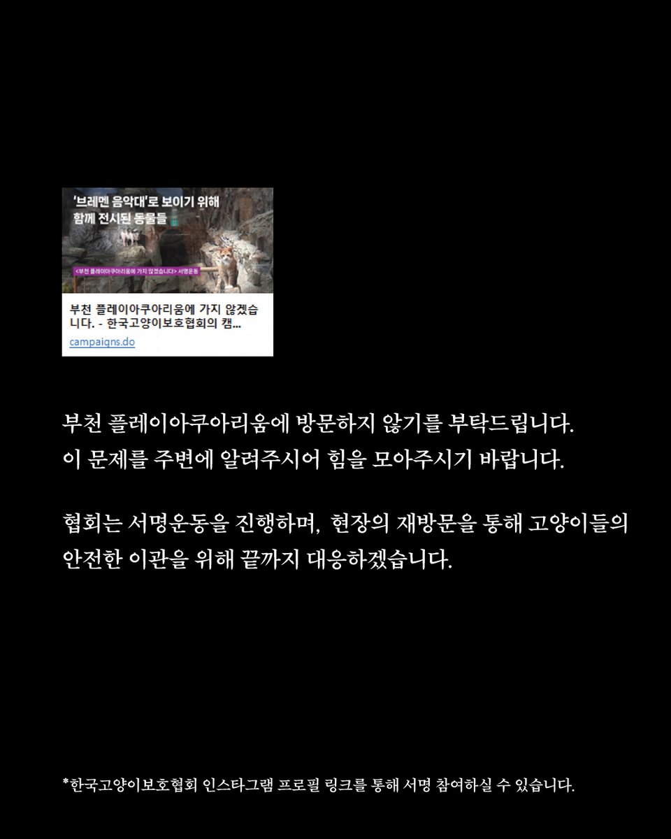 한국고양이보호협회 tweet media
