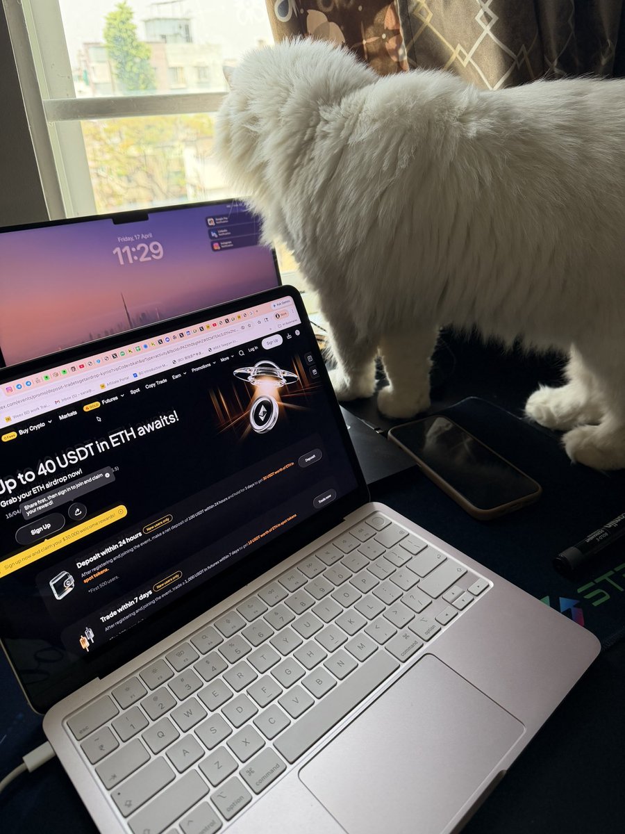 sana_xbtc's tweet image. my catGPT just checking…..

“wait… everyone’s on WEEX right?”

🐱📊😁

@WEEX_Official #WEEX #Airdrops #ETH