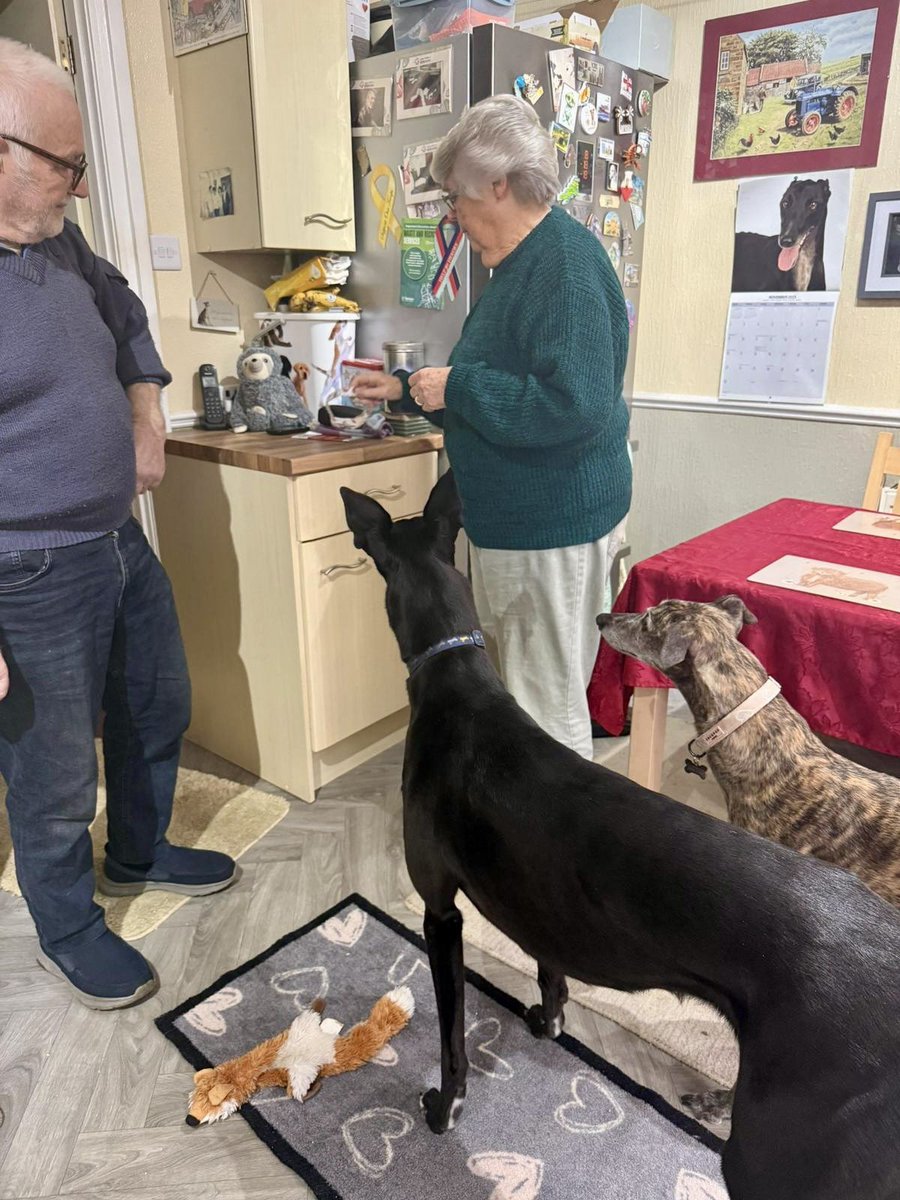 Fergal O'Brien Racing tweet media