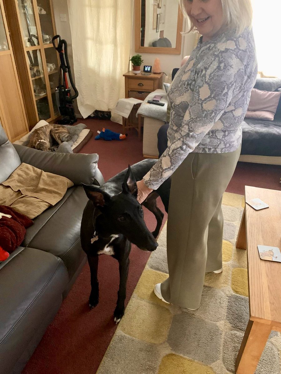 Fergal O'Brien Racing tweet media