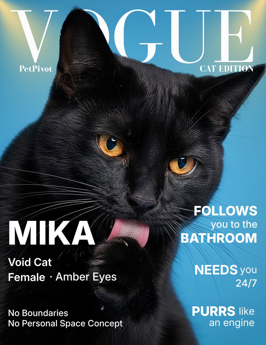 AutoScooper by PetPivot tweet media