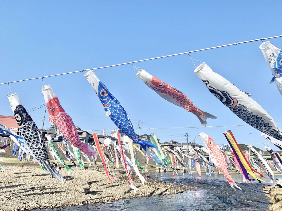 約500匹の鯉のぼりが加茂川を泳ぐ時期が今年もまた始まりますね。風でなびく鯉のぼりは、ほんとに泳いでいるかのよう。私も見に行こうっと♬

【開催期間】
2026年4月24日（金）～5月26日（火）