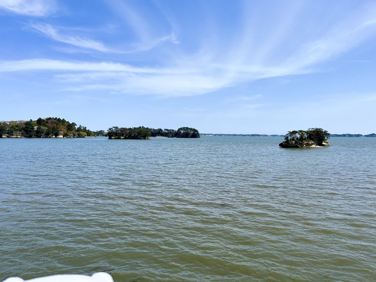 しゅう🐯🍊 tweet media