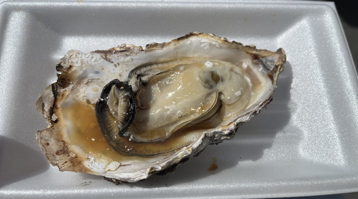 しゅう🐯🍊 tweet media