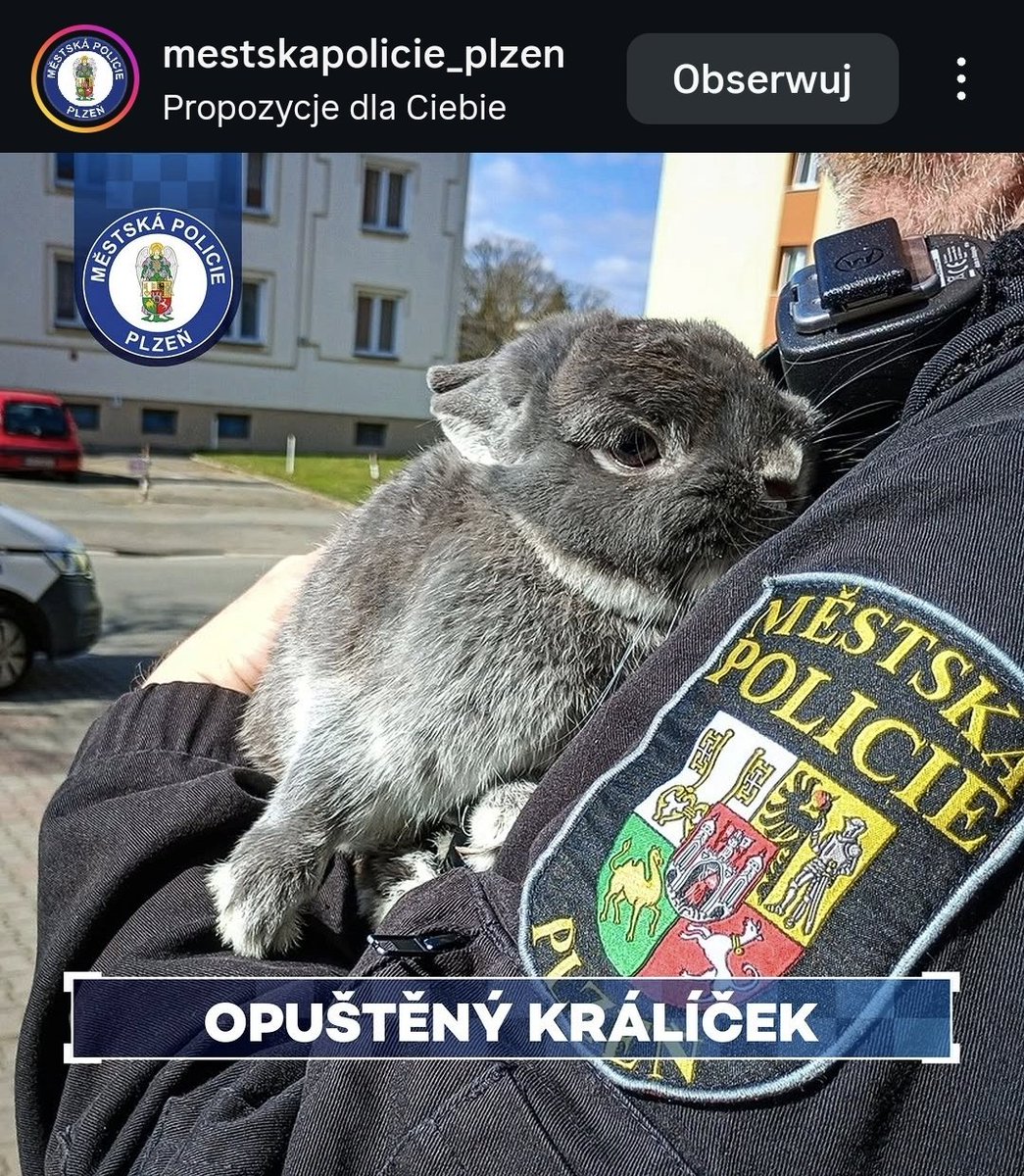 Michalina Kobla tweet media