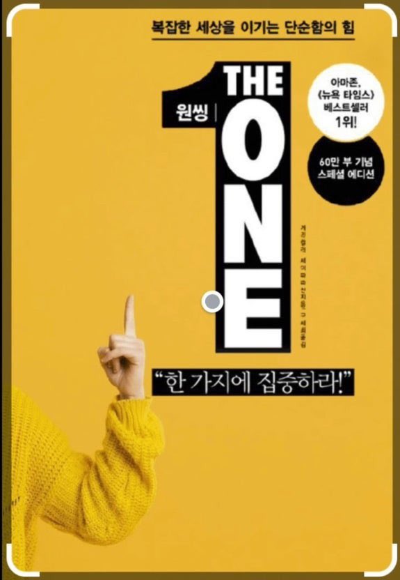 안젤리나 줌들리나 tweet media