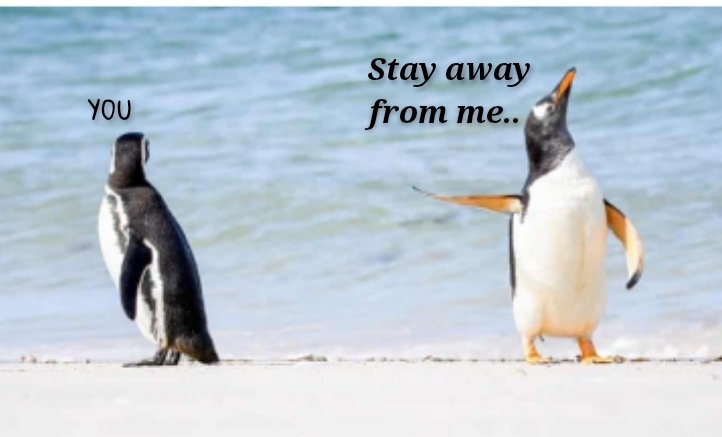 Ꮲ𝐫є𝖙𝖙ɏ ωøɱꋬ̊ɳ🧚‍♀️ 𝓒𝓾𝓽𝓮 𝓒𝓱𝓾𝓻𝓪𝓲𝓵 👻 tweet media