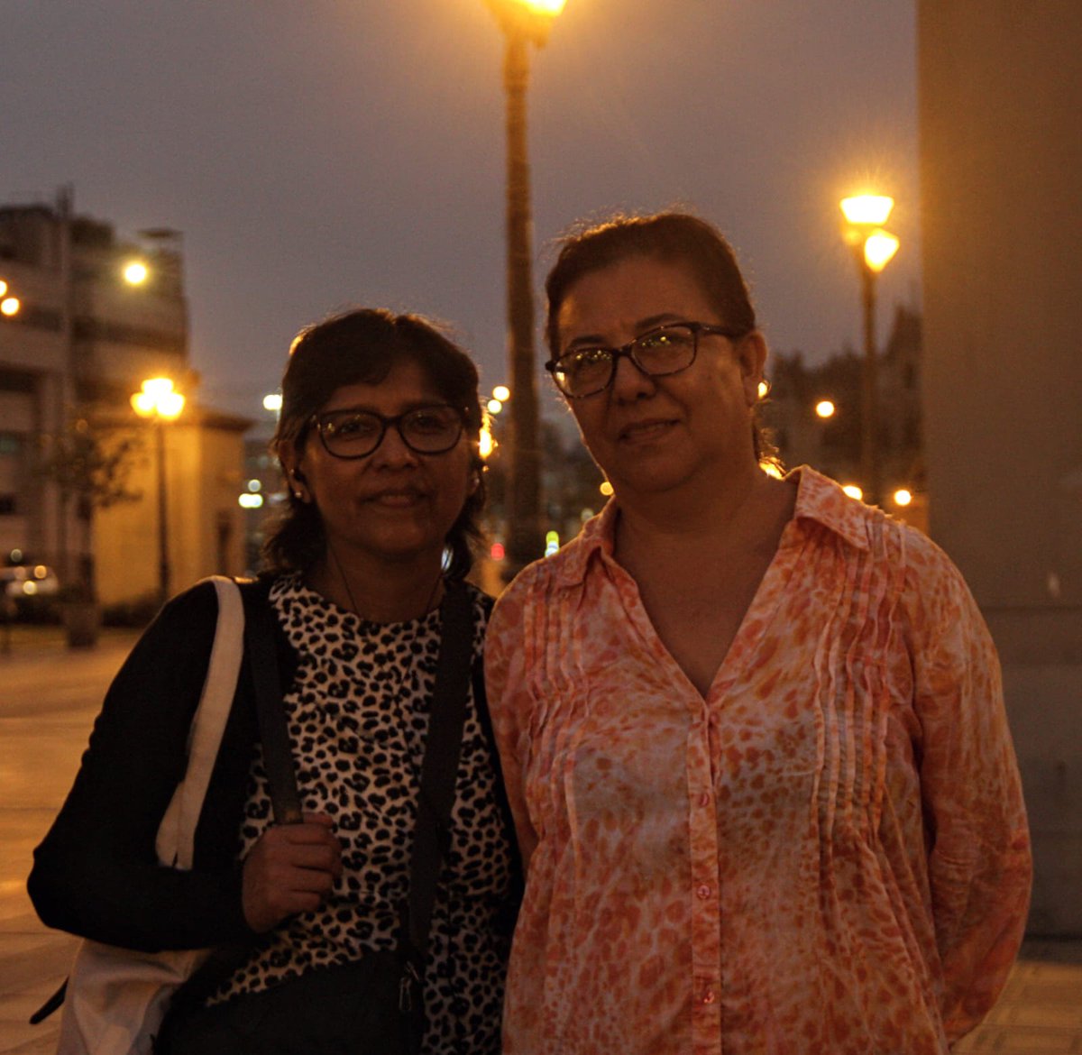 No + Impunidad tweet media