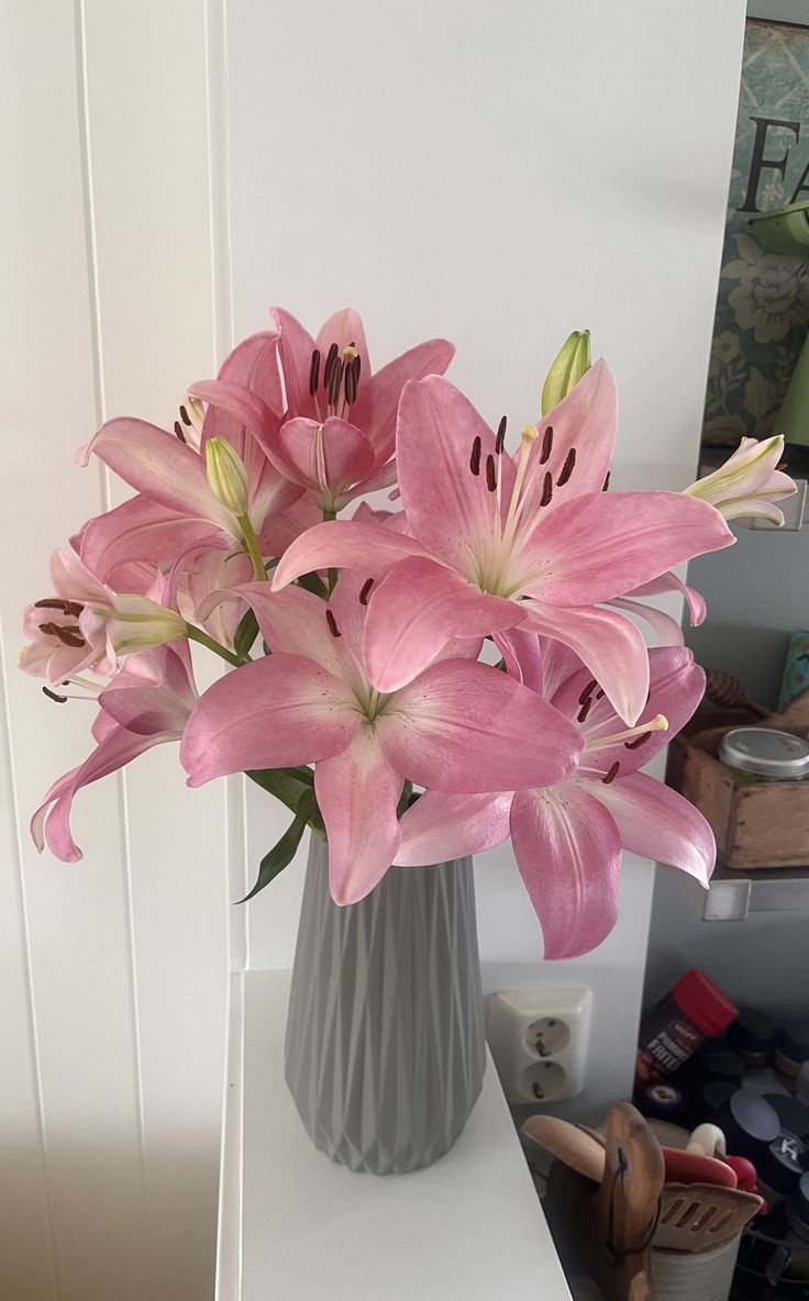 Soft Petals tweet media