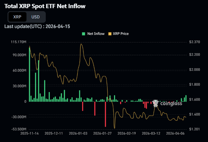 CryptoBusy tweet media