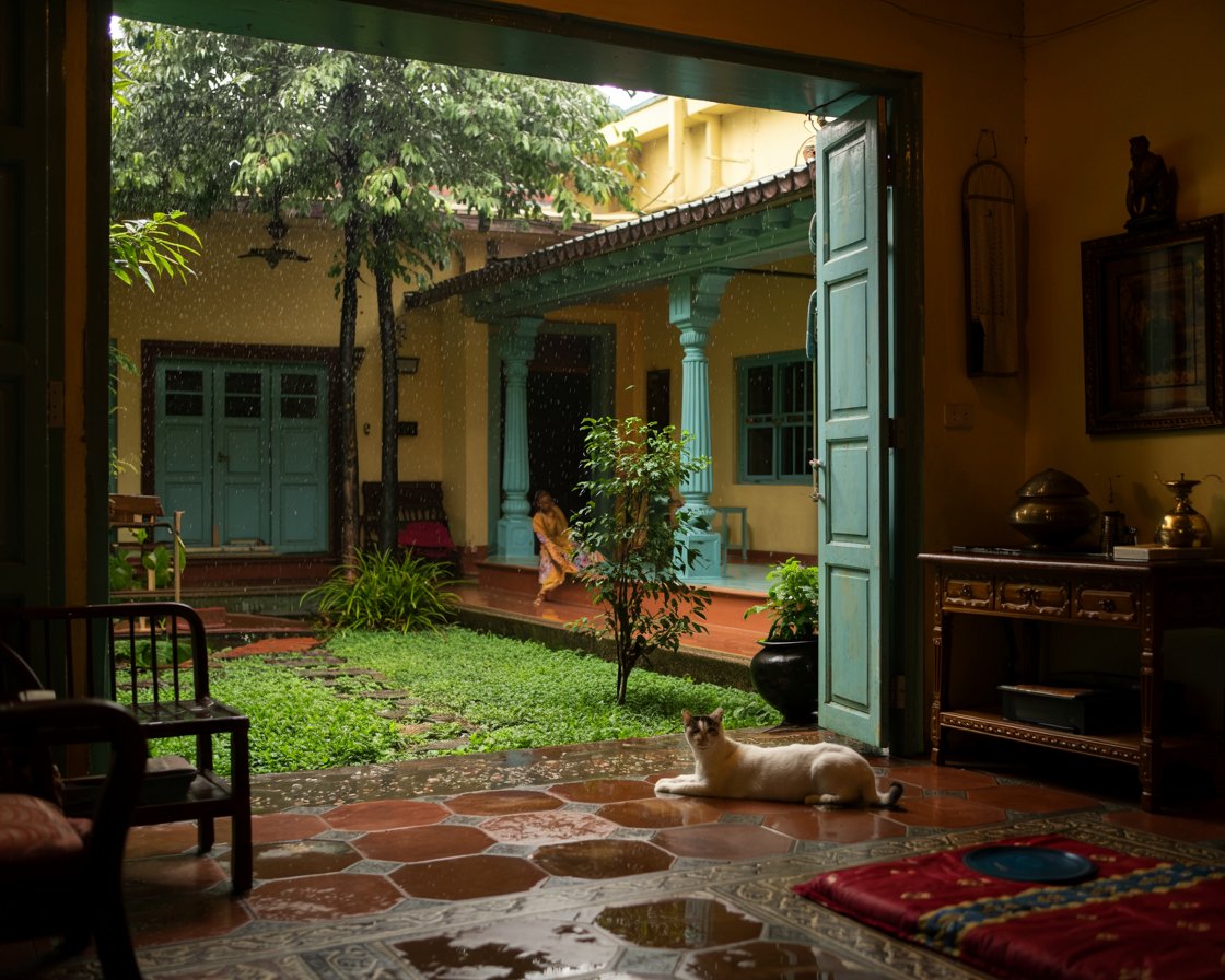 Modern Houses don’t smell like rain