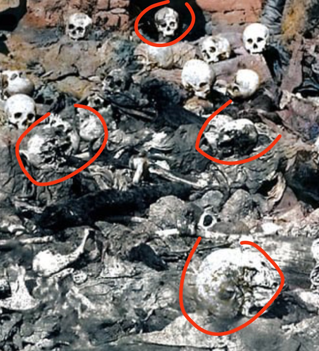 Cinnamon Bun With Arsenic tweet media