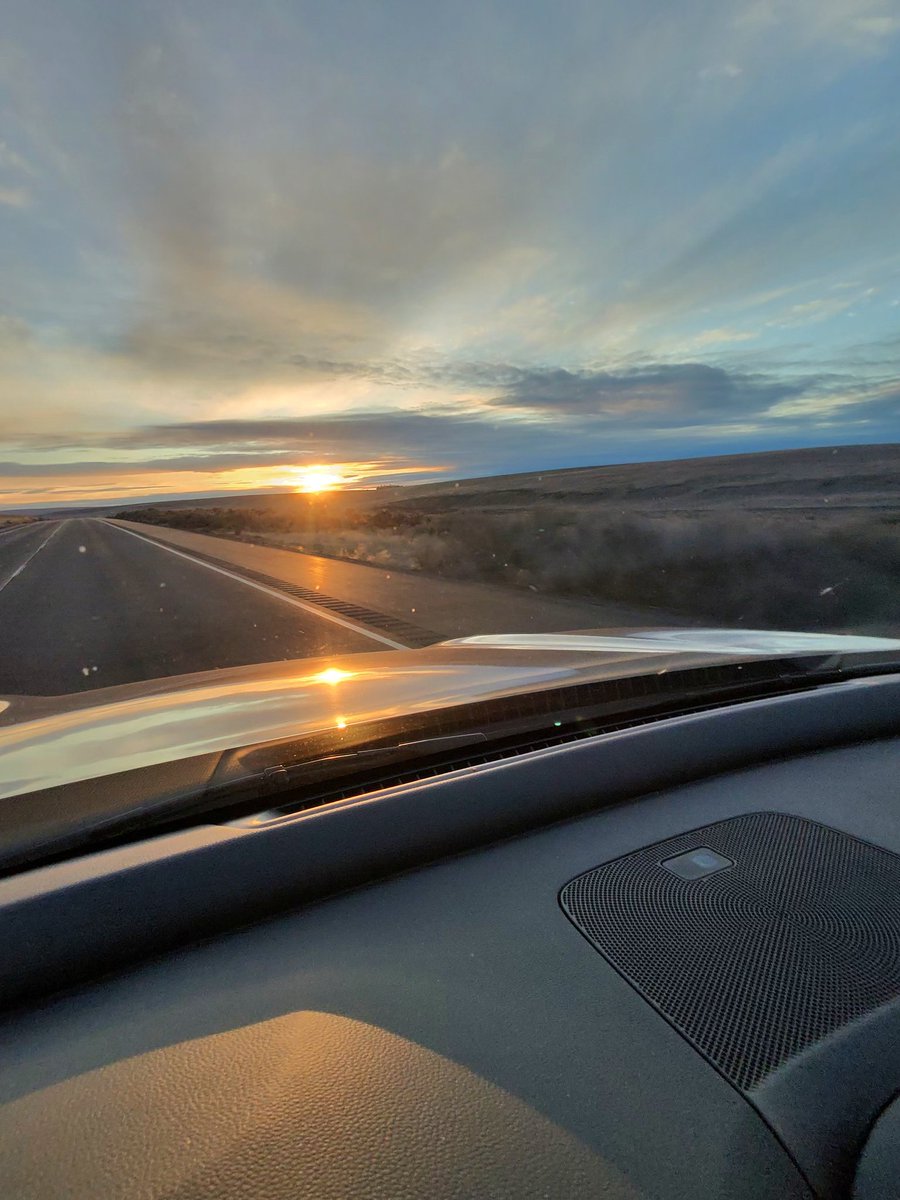 Doug Whitehouse tweet media